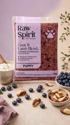 Raw Spirit Goat and Lamb Blend complete and balanced raw dog food, 1 kg pack for puppies