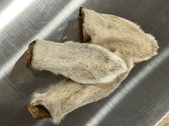 Lambs Ear - each