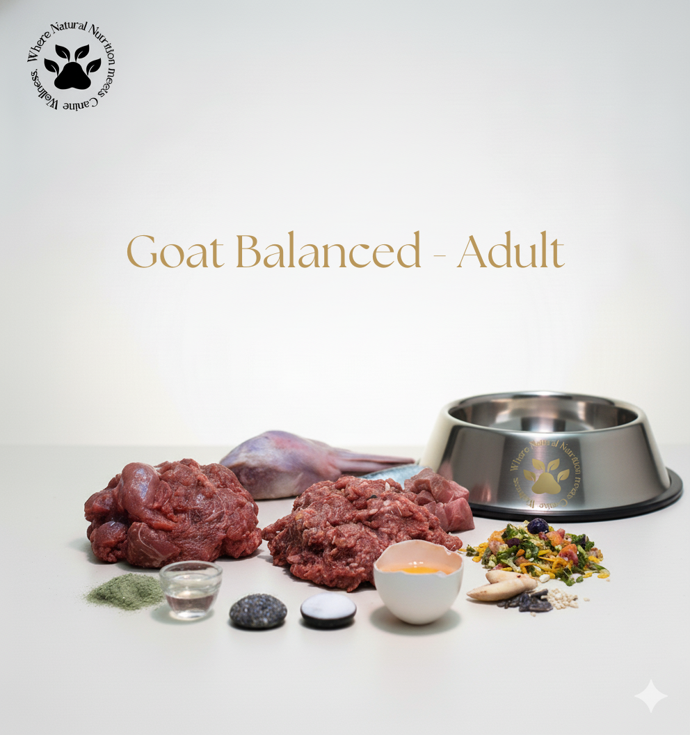 Goat Balanced - Adult