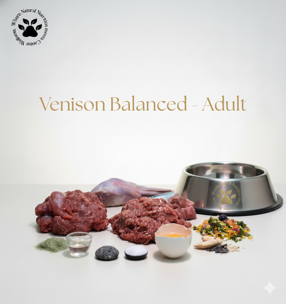 Venison Balanced - Adult