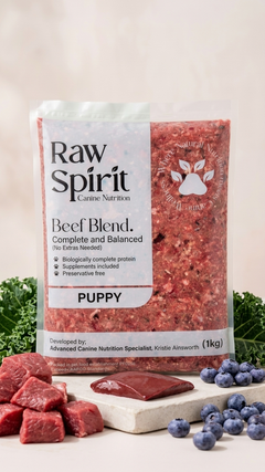 Raw Spirit Beef Blend complete and balanced raw dog food, 1 kg pack for puppies