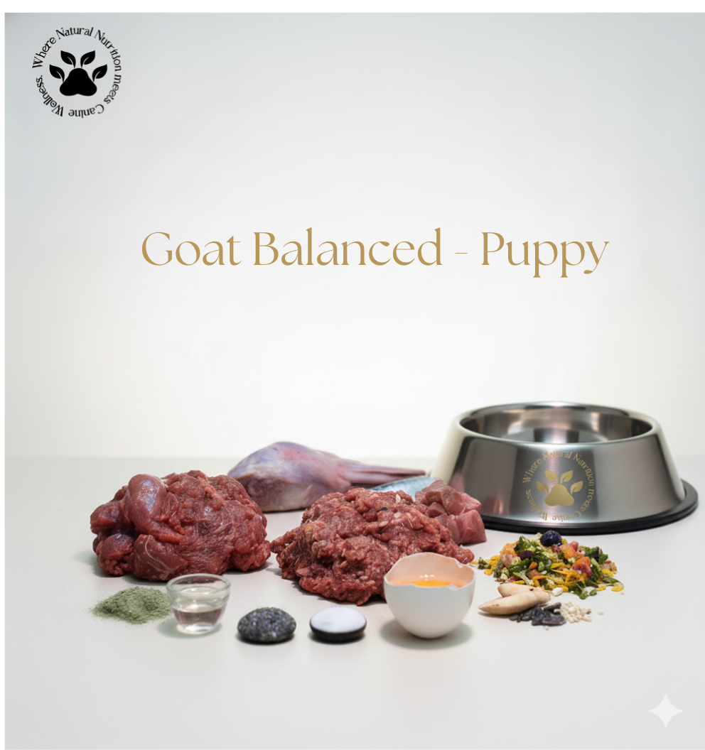 Goat Balanced - Puppy